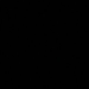 Meet your Posher, Britney